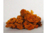Fr Décor 124 Lichens Marron