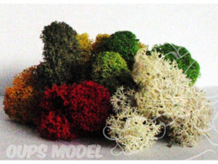 Fr Décor 126 Lichens Assortis 5 couleurs