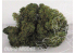 Fr Décor 127 Lichens Vert foncé