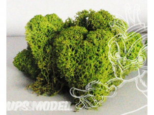 Fr Décor 12122 Lichens Vert clair 180g