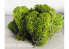 Fr Décor 12122 Lichens Vert clair 180g