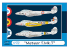 Frrom maquettes avions 0045 Meteor T.Mk.7 1/72