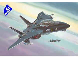 revell maquette avion 64029 F-14A "Black Tomcat" model set 1/144