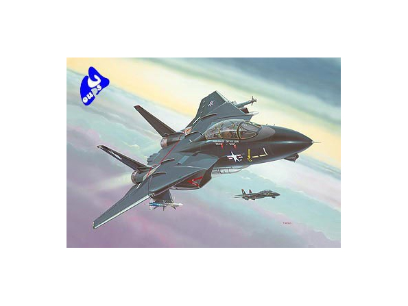 revell maquette avion 64029 F-14A "Black Tomcat" model set 1/144