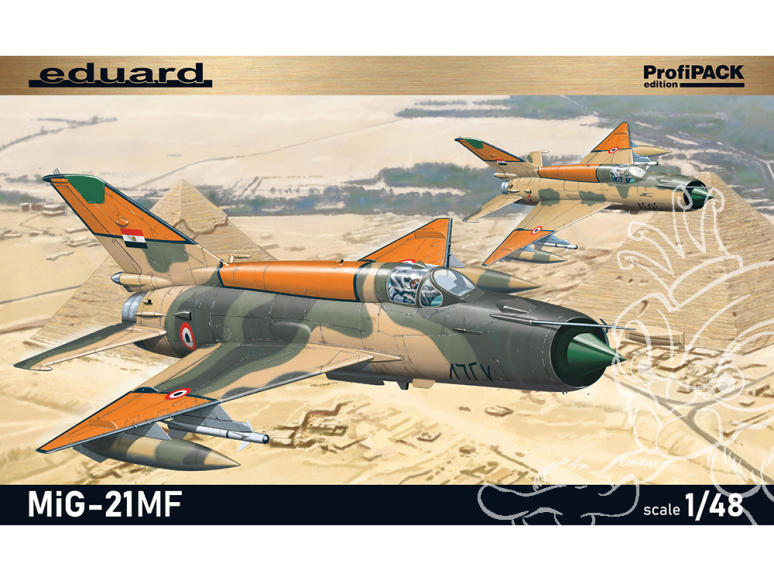 EDUARD maquette avion 8231 MiG-21MF ProfiPack Edition Réédition 1/48