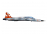 AFV maquette avion 48103 U.S. Navy VFC-111 Sunset Squadron F-5F 1/48