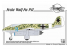 Planet Model PLT224 Focke Wulf P.II full resine kit 1/48