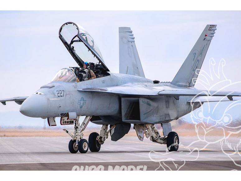 Hobby Boss maquette avion 85813 Chasseur américain F/A-18F Super Hornet 1/48