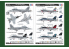 Hobby Boss maquette avion 85813 Chasseur américain F/A-18F Super Hornet 1/48