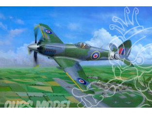 Trumpeter maquette avion 02850 SUPERMARINE SPITEFUL F.Mk.14 1/48