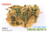 Dragon maquette militaire 3309 berets Verts 1/35