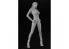 Hasegawa maquette figurine 52304 12 Collection de figurines réelles n ° 11 &quot;Girls Rider Vol.2&quot; 1/12