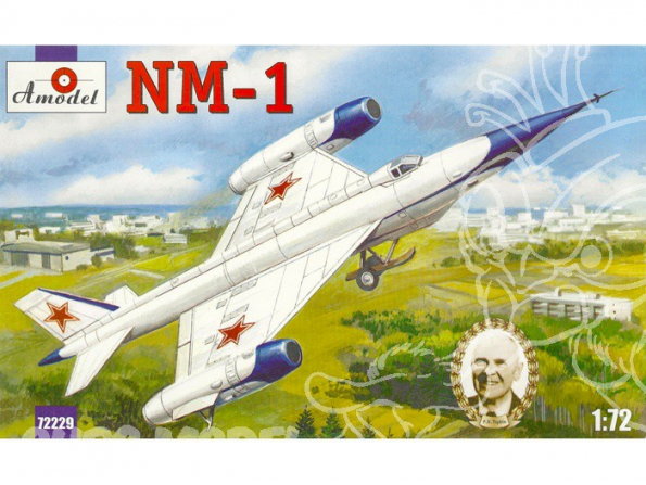 Amodel maquettes avion 72229 TSYBIN NM-1 1/72