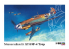 Hasegawa maquette avion 08881 Messerschmitt Bf109F-4 TROPICAL 1/32