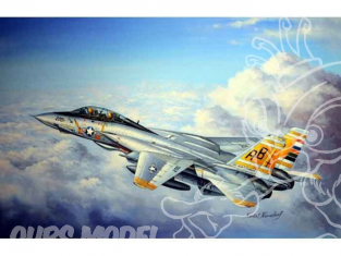 Hobby boss maquette avion 80366 F-14A TOMCAT 1/48