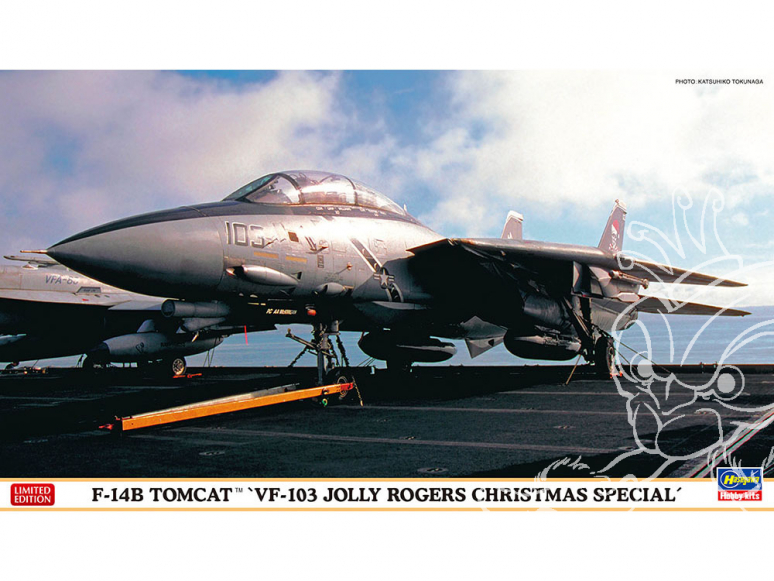 Hasegawa maquette avion 02391 F-14B Tomcat « Spécial Noël VF-103 Jolly Rogers » 1/72