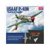 Academy maquette avion 12341 Curtiss P-40N Warhawk bataille d'Imphal 1/48
