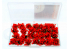 AmazingART 16136 Grosses Touffes d&#039;herbe fleurie rouge de 13mm