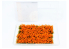 AmazingART 10585 Gosses Touffes d&#039;herbe vert fleurs Orange de 13mm