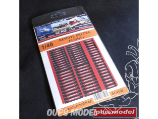 Plus Model AL4106 Remove before flight I 1/48