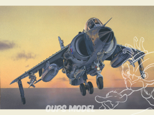 Italeri maquette avion 1236 FRS.1 Sea Harrier 1/72