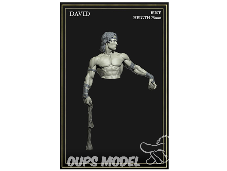 Yedharo Models figurine résine 1658 Buste de David hauteur 75mm