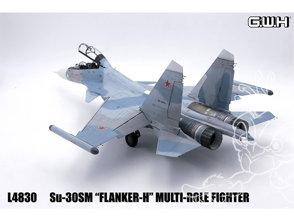 GreatWall Hobby L4830 1/48 Scale Russian Su-30SM Flanker-H Plastic Model Kit
