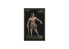 Yedharo Models figurine résine 1771 David et goliath Echelle 30 et 70mm