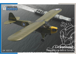 Special Hobby maquette avion 48218 L-4 Grasshopper Afrique et l'Europe centrale 1/48