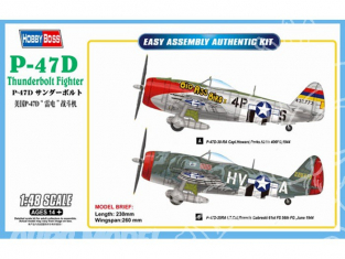 Hobby boss maquette avion 85804 P-47D Thunderbolt 1/48