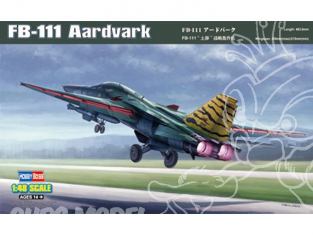 Hobby Boss maquette avion 80351 FB-111 Aardvark 1/48