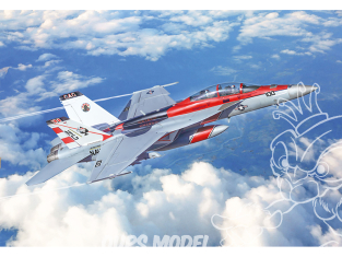 Italeri maquette avion 2823 F/A-18F Super Hornet U.S. Navy Couleurs Spéciales 1/48