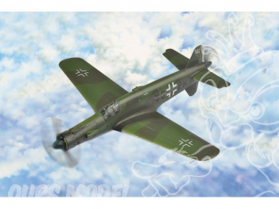 Hobby boss maquette avion 80293 Dornier Do 335 1/72