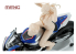 MENG SPS-084 Figurine Racer Girl aussi rapide que l&#039;éclair sur la piste de course 1/9