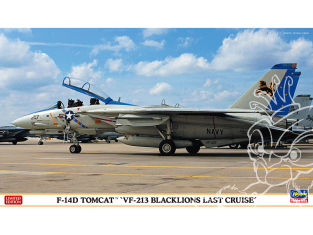 Hasegawa maquette avion 02406 F-14D Tomcat "VF-213 Black Lions Dernière croisière" 1/72