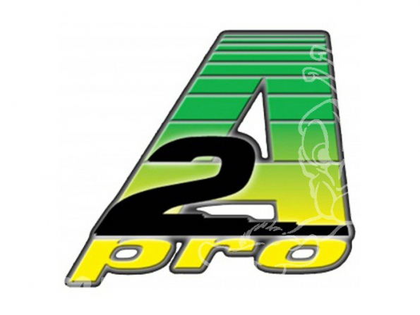 A2pro Accu 4.8v 800mAh AA