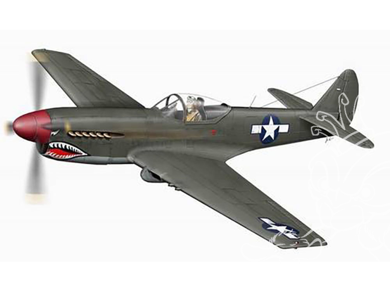 Planet Model PLT104 XP 40Q Warhawk full resine kit 1/48