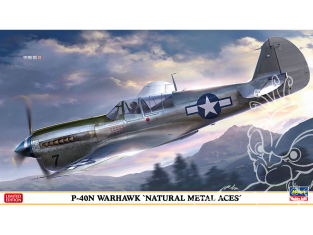 HASEGAWA maquette avion 07516 P-40N Warhawk "Les As métal naturel" 1/48
