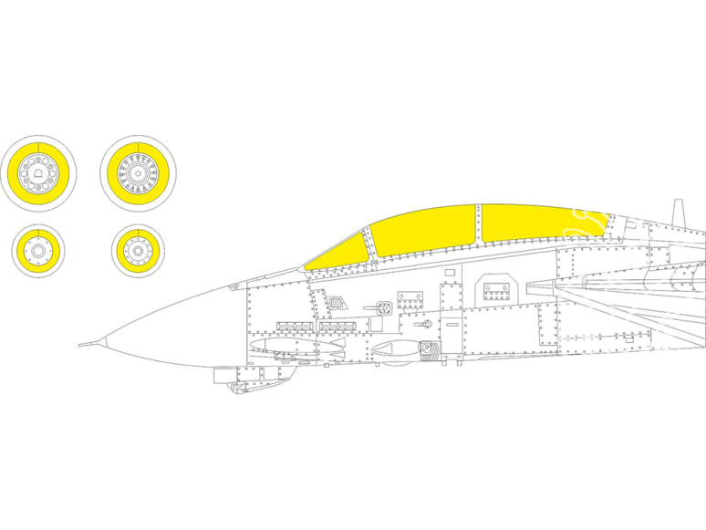 Eduard Express Mask CX647 F-14B Academy 1/72