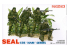 Dragon maquette militaire 3302 Navy Seal Nam Series 1/35