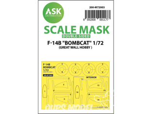 ASK Art Scale Kit Mask M72003 F-14B "Bombcat" Great Wall Hobby Recto Verso 1/72