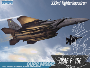 Academy maquette avion 12550 USAF F-15E "333rd Fighter Squadron" 1/72