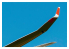 Brengun kit d&#039;amelioration avion BRL48174 Planeur DG-1000 - winglets 20m kit Brengun 1/48