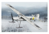 Hobby Boss maquette avion 80183 Fieseler Fi-156 C-3 avec ski 1/35