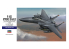 HASEGAWA maquette avion 01569 F-15E STRIKE EAGLE 1/72