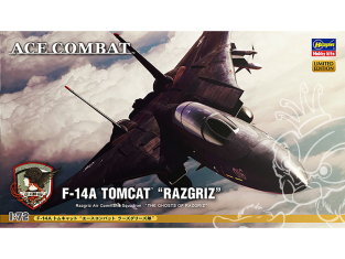 Hasegawa maquette avion 52113 Ace Combat F-14A Tomcat "Razgriz" Edition Limitée 1/72