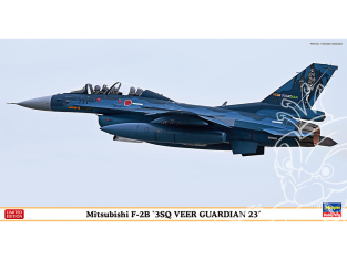Hasegawa maquette avion 07520 Mitsuibishi F-2B "3SQ VEER Guardian 23" 1/48