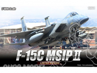 Academy maquette avion 12221 F-15C MSIPII 1.48