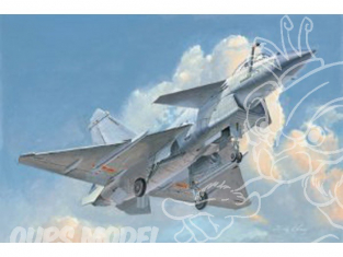 Trumpeter maquette avion 02848 CHENGDU J-10B DRAGON VIGOUREUX 1/48