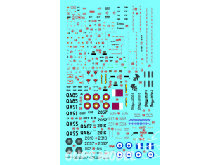 Decalques Berna decals BD72-72 MIRAGE 2000-5 OF THE WORLD 1/72